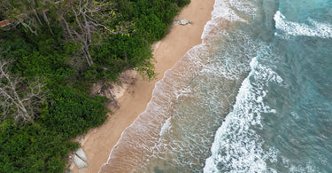 Plastic collection waste to prevent ocean pollution.