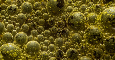 Extreme Close-up on Bacteria