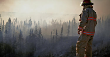 wildfire smoke