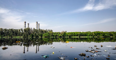 What Are the Five Main Types of Pollution?
