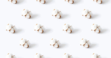 Impact: Organic Cotton Towels vs Traditional Cotton Towels