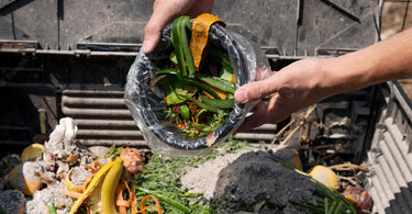 Conservation 101: the issue of food waste