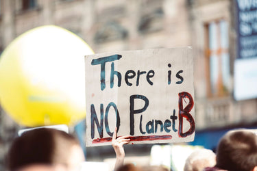 Protesting environmental issues