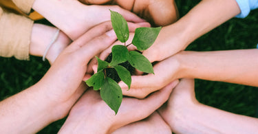 Back to the Roots – Short History of Sustainability